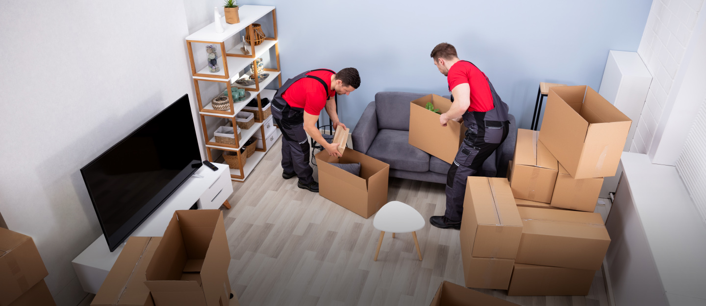 furniture & Equipment Shifting